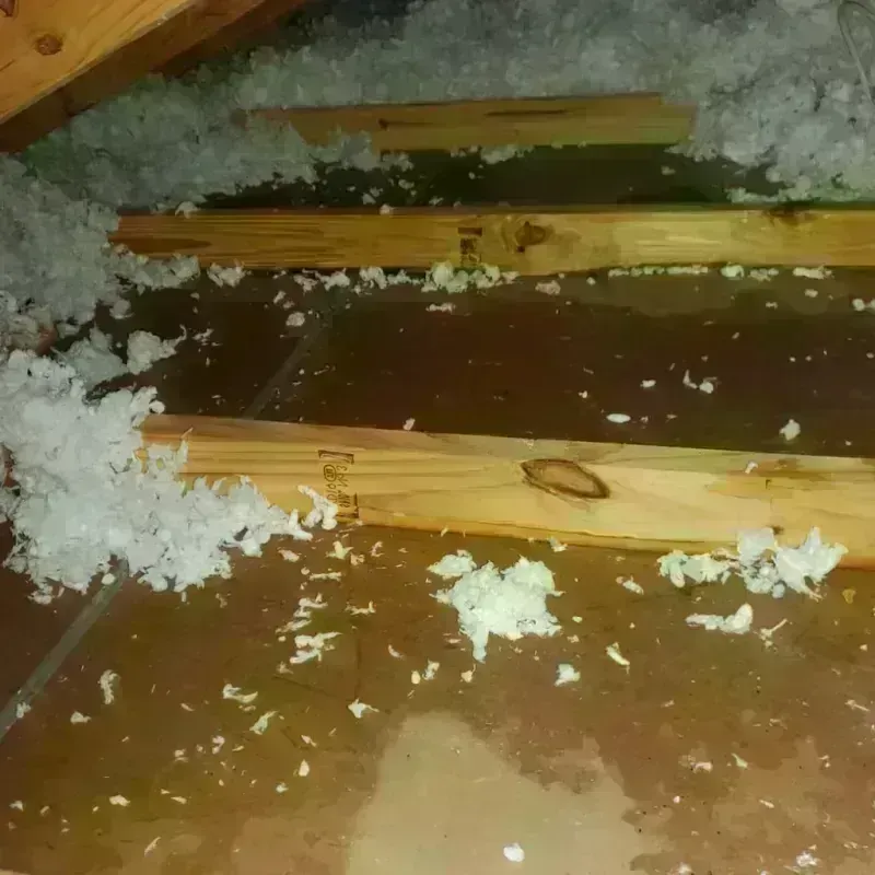 Attic Water Damage in East Hemet, CA